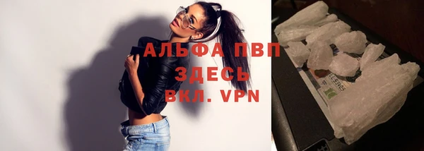 стаф Баксан
