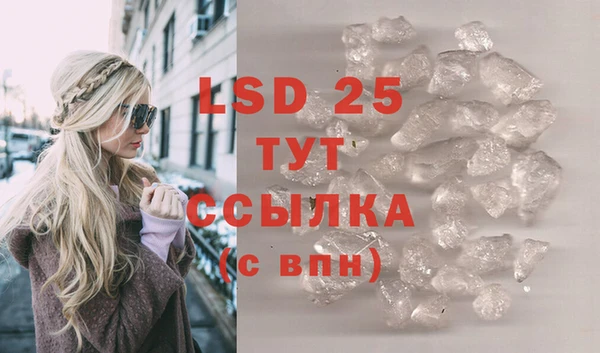 ГАЛЛЮЦИНОГЕННЫЕ ГРИБЫ Балабаново